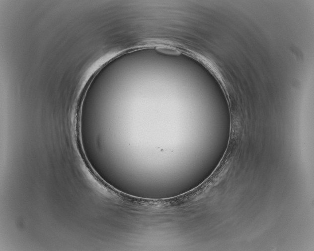 X0000115781003200911131243