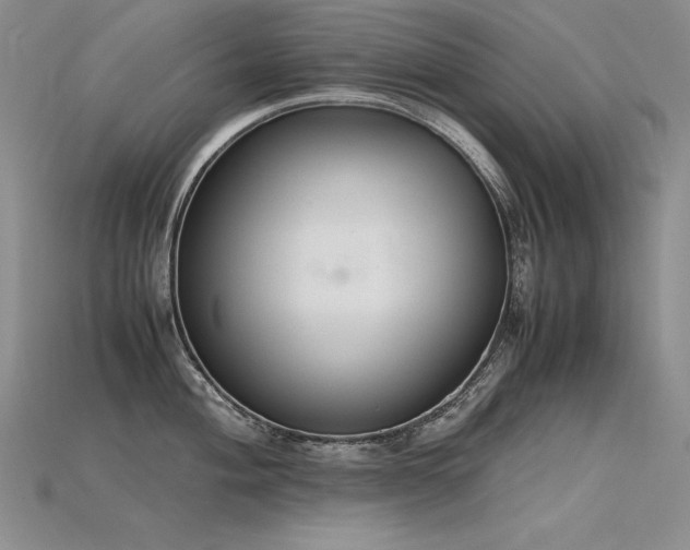 X0000115781004200911131243