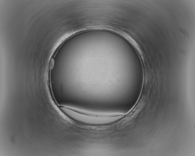 X0000115781005200911131243