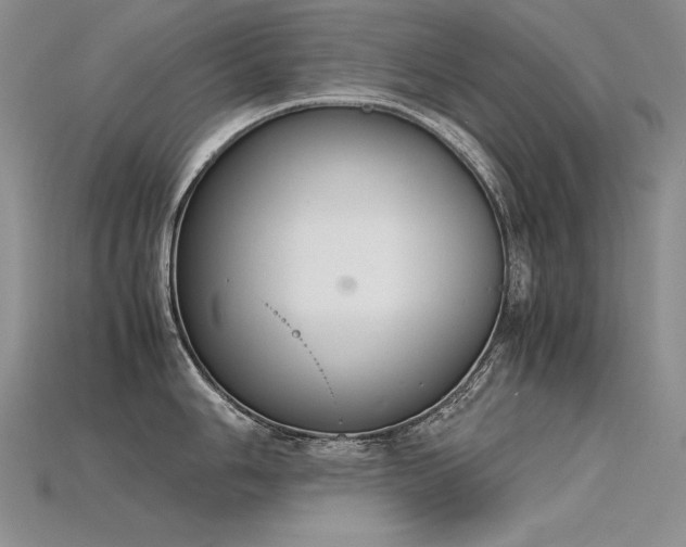 X0000115781006200911131243