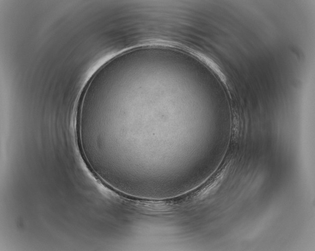 X0000115781007200911131243