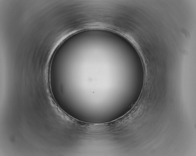 X0000115781008200911131243
