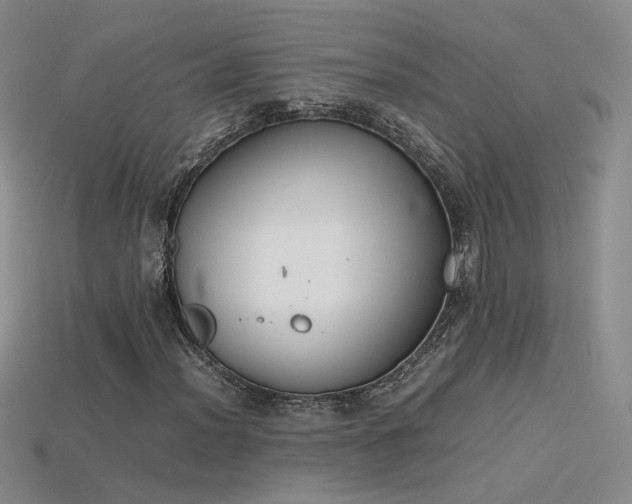 X0000115781012200911131243