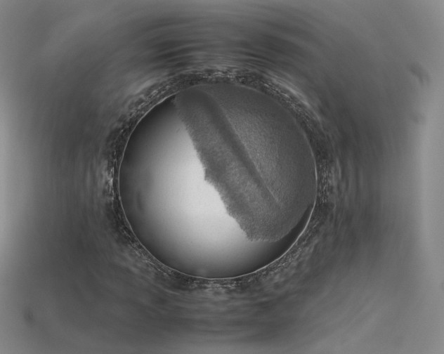 X0000115781013200911131243