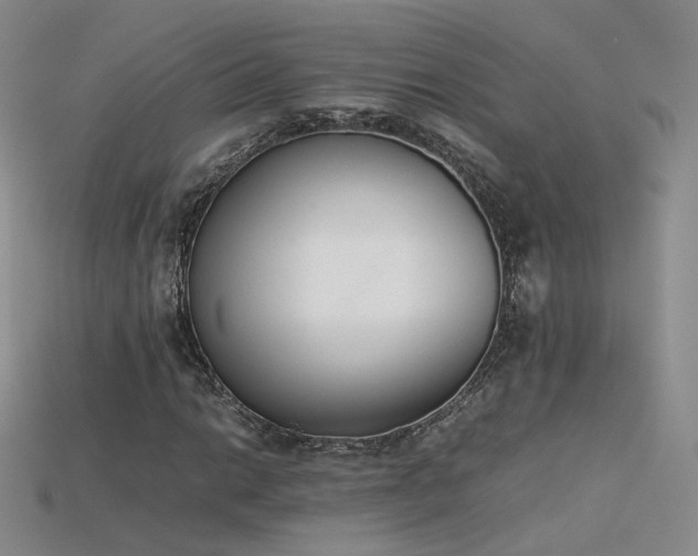 X0000115781014200911131243