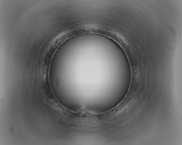 X0000115781016200911131243