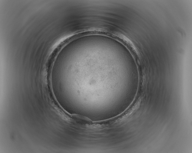 X0000115781019200911131243