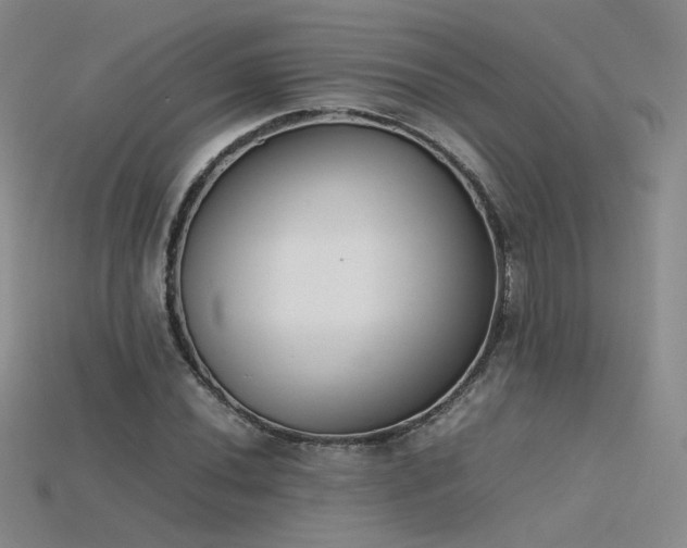 X0000115781020200911131243