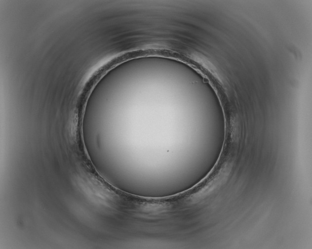 X0000115781021200911131243