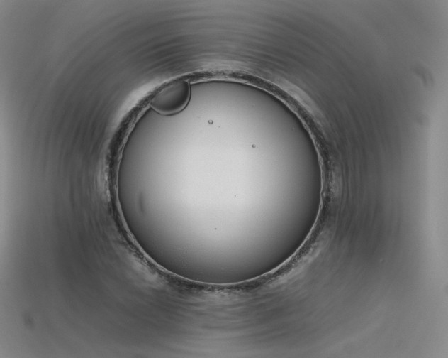 X0000115781022200911131243