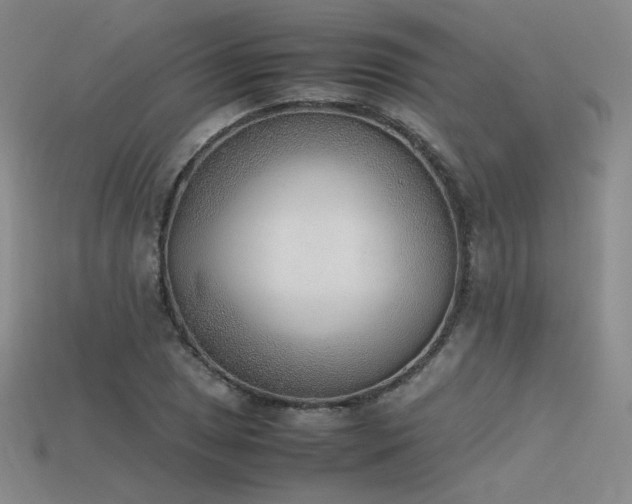 X0000115781025200911131243