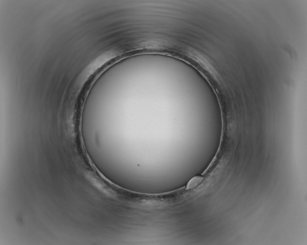 X0000115781026200911131243