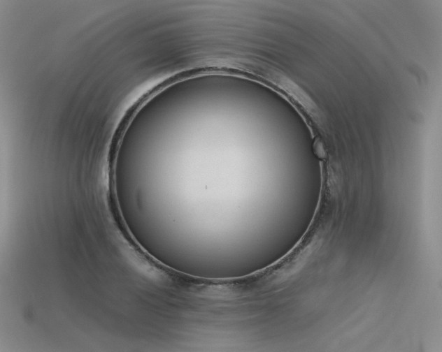 X0000115781028200911131243