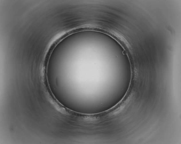 X0000115781029200911131243