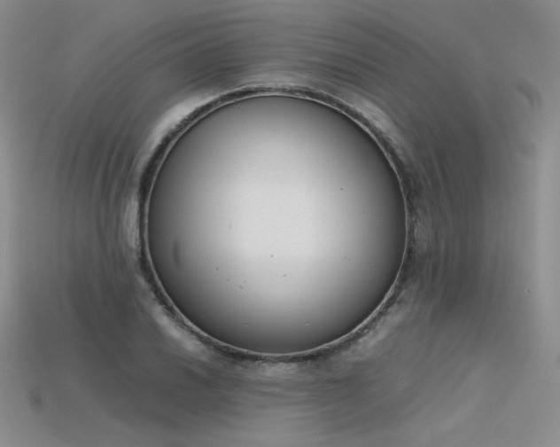 X0000115781030200911131243
