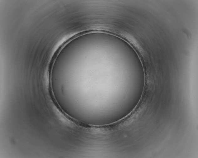 X0000115781032200911131243