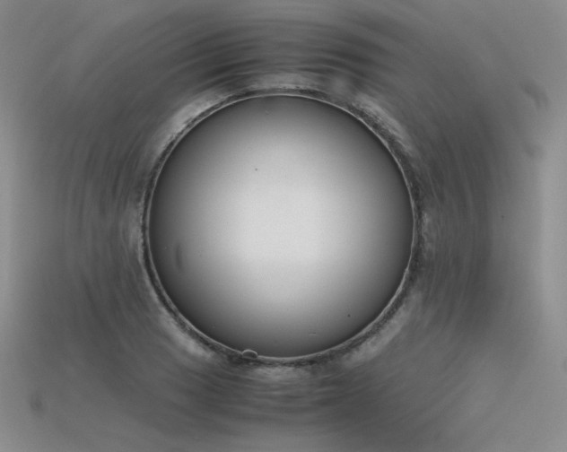 X0000115781033200911131243