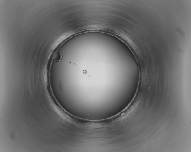 X0000115781034200911131243