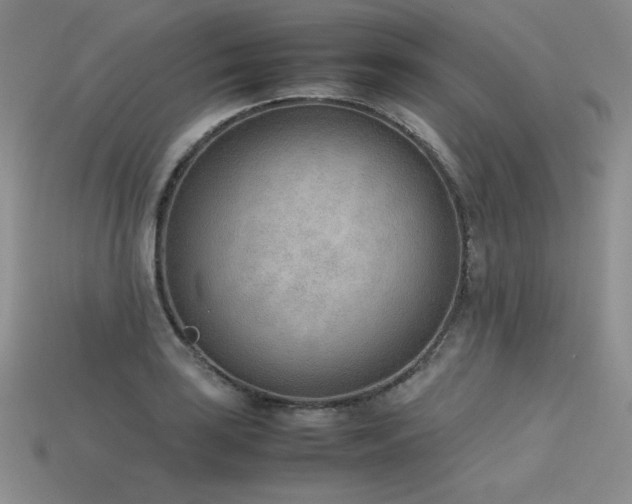 X0000115781035200911131243