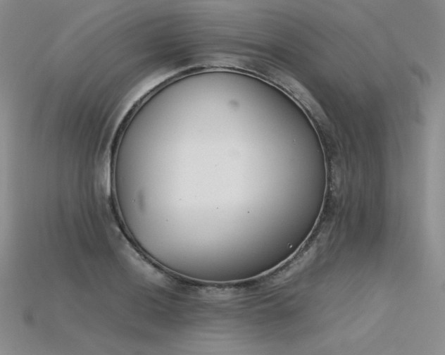 X0000115781036200911131243