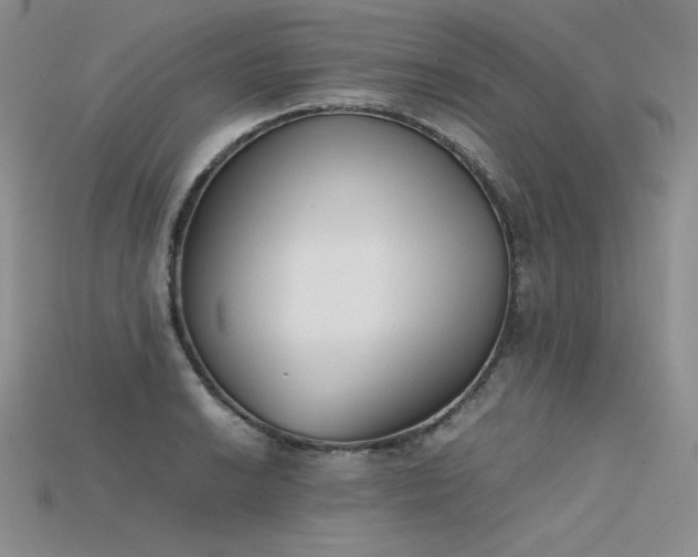 X0000115781038200911131243