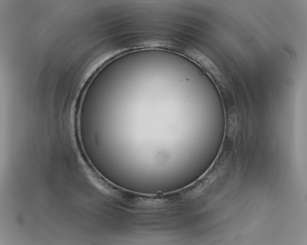 X0000115781039200911131243