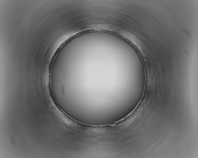 X0000115781040200911131243