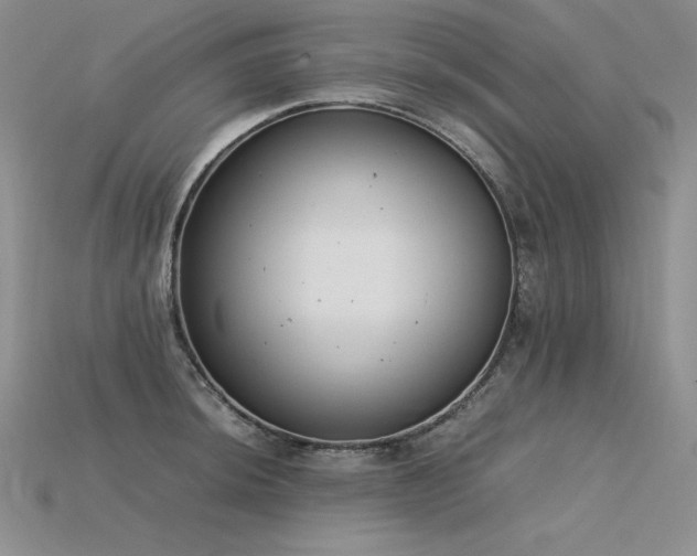 X0000115781044200911131243