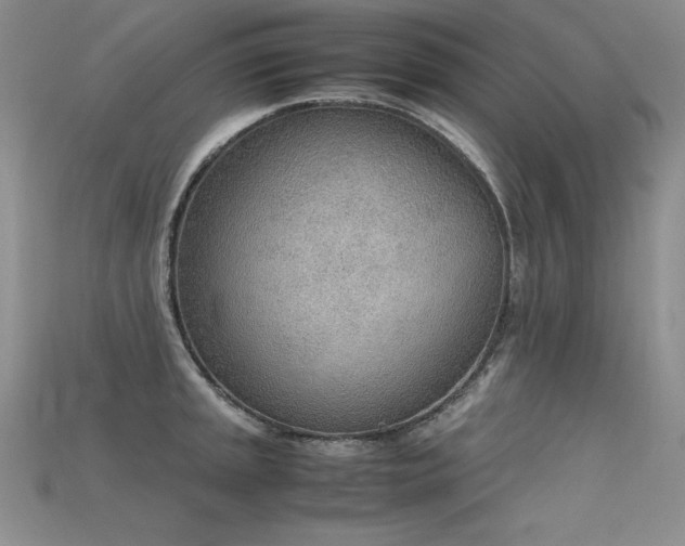 X0000115781045200911131243
