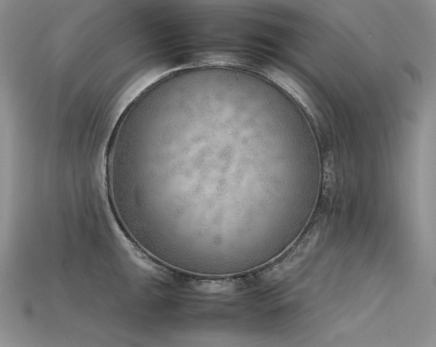 X0000115781047200911131243