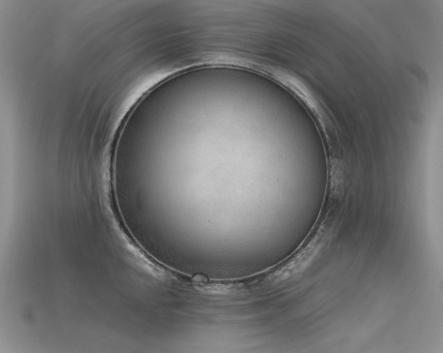 X0000115781048200911131243