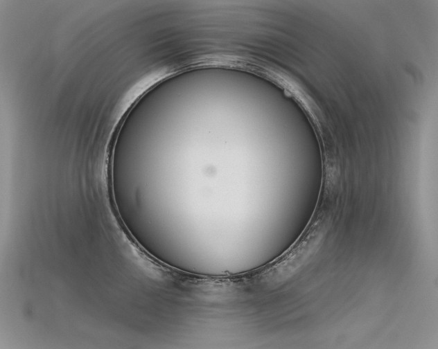 X0000115781050200911131243