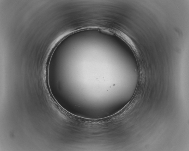 X0000115781051200911131243