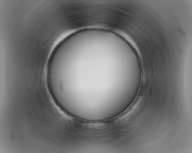 X0000115781053200911131243