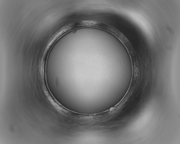 X0000115781054200911131243