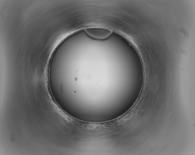 X0000115781056200911131243