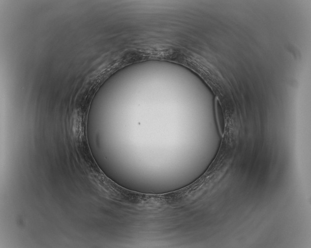 X0000115781058200911131243