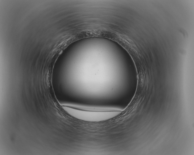 X0000115781060200911131243