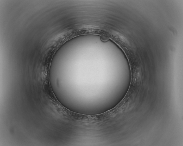 X0000115781062200911131243