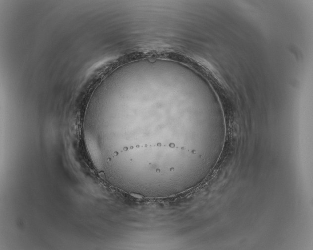 X0000115781063200911131242