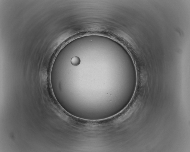 X0000115781065200911131242