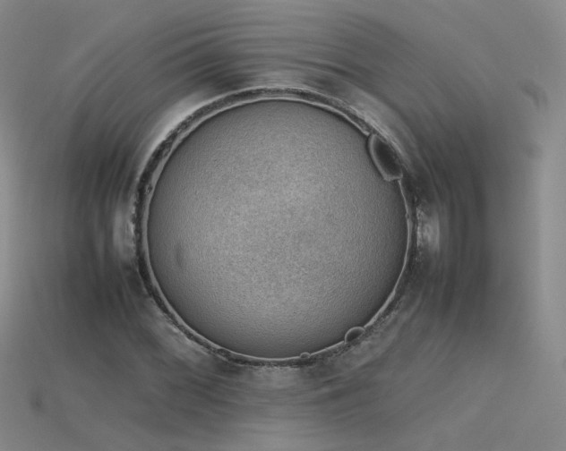 X0000115781068200911131242