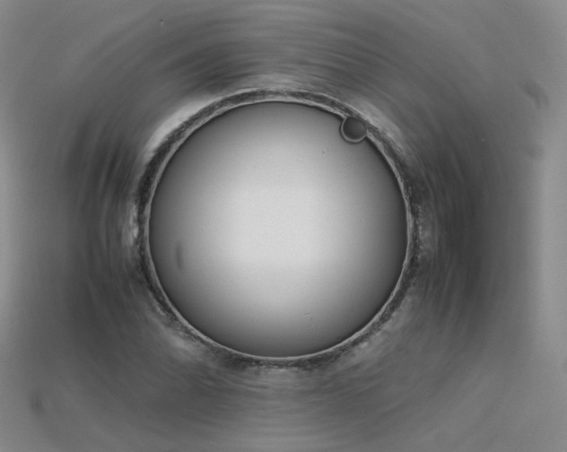 X0000115781070200911131242