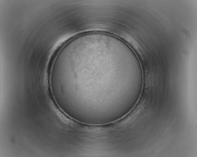 X0000115781072200911131242