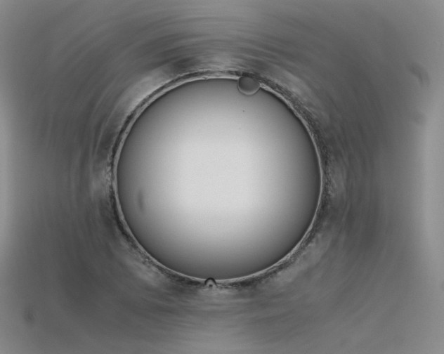 X0000115781073200911131242
