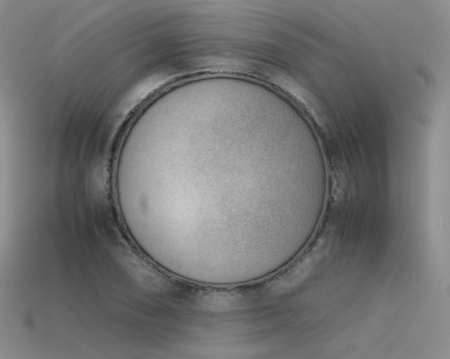 X0000115781074200911131242