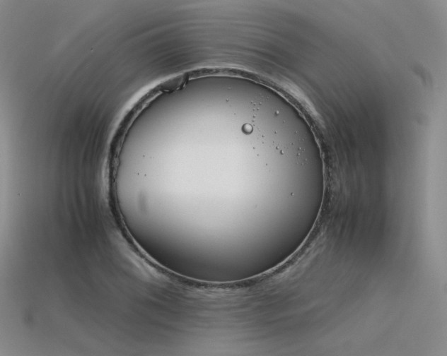 X0000115781076200911131242