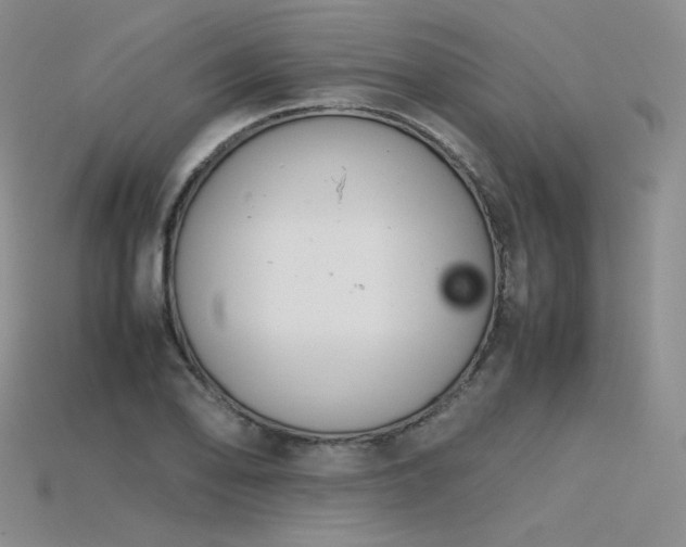 X0000115781078200911131242