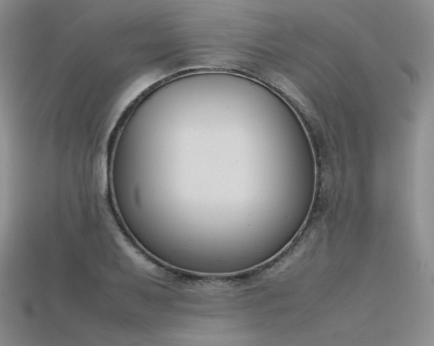 X0000115781079200911131242