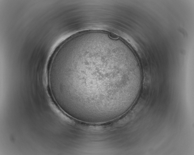 X0000115781080200911131242